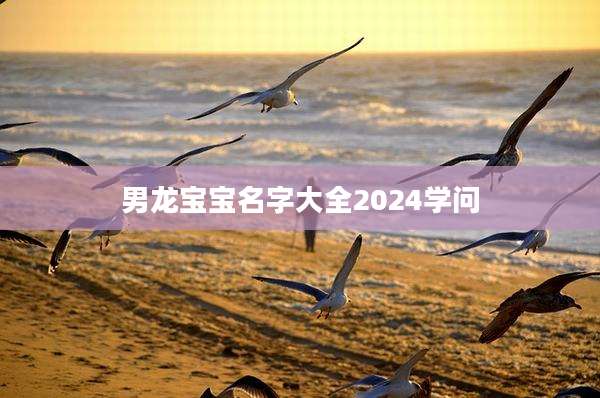 男龙宝宝名字大全2024学问