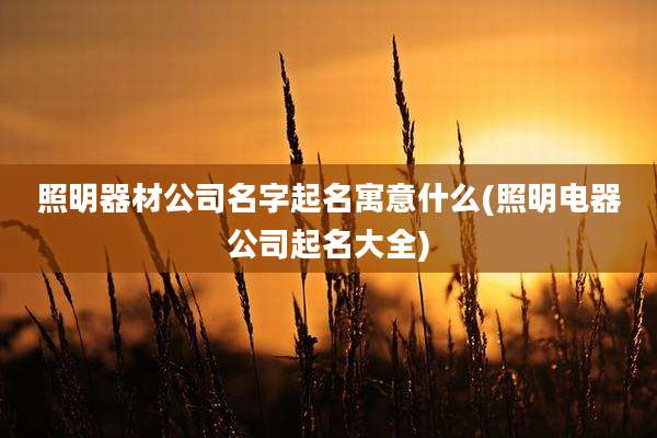 照明器材公司名字起名寓意什么(照明电器公司起名大全)