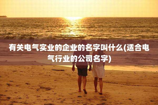 有关电气实业的企业的名字叫什么(适合电气行业的公司名字)