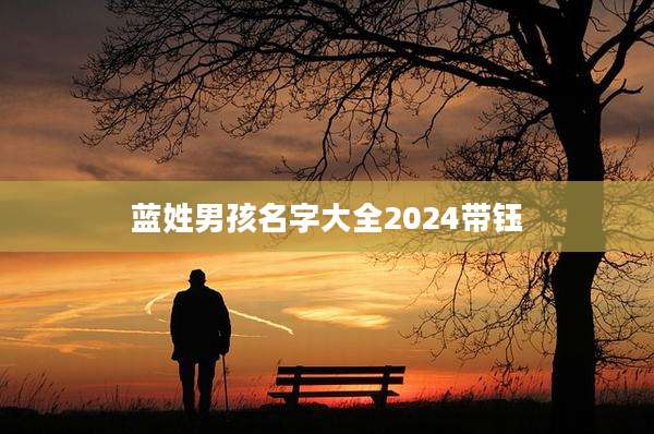 蓝姓男孩名字大全2024带钰