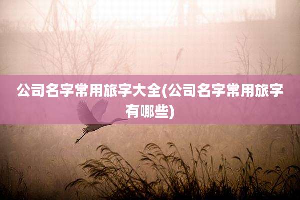 公司名字常用旅字大全(公司名字常用旅字有哪些)