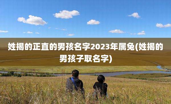 姓揭的正直的男孩名字2023年属兔(姓揭的男孩子取名字)