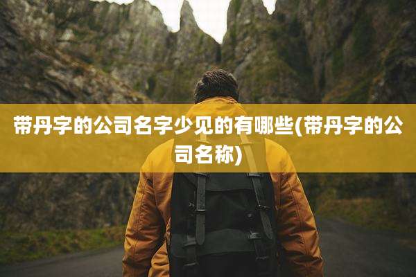 带丹字的公司名字少见的有哪些(带丹字的公司名称)