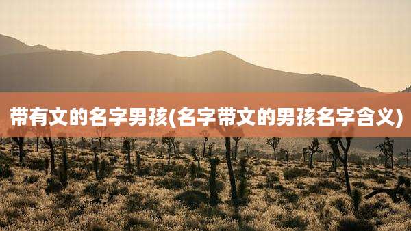 带有文的名字男孩(名字带文的男孩名字含义)