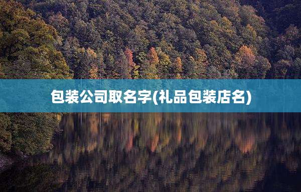 包装公司取名字(礼品包装店名)