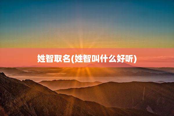 姓智取名(姓智叫什么好听)