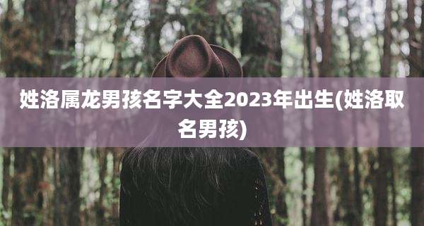 姓洛属龙男孩名字大全2023年出生(姓洛取名男孩)