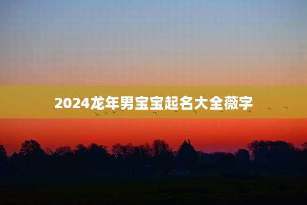 2024龙年男宝宝起名大全薇字