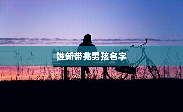 姓新带兆男孩名字