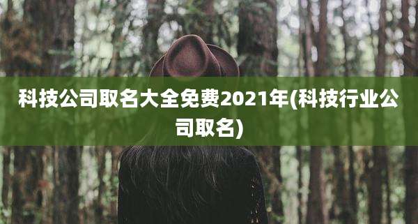 科技公司取名大全免费2021年(科技行业公司取名)