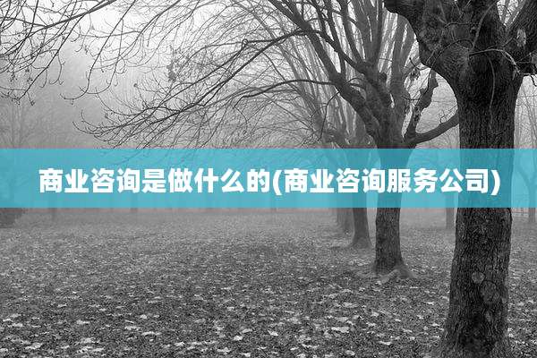 商业咨询是做什么的(商业咨询服务公司)