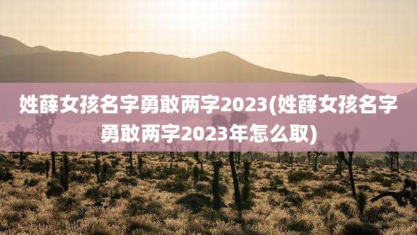 姓薛女孩名字勇敢两字2023(姓薛女孩名字勇敢两字2023年怎么取)