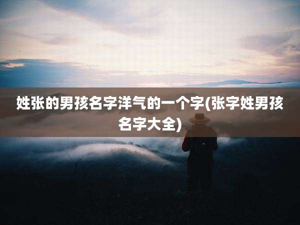 姓张的男孩名字洋气的一个字(张字姓男孩名字大全)