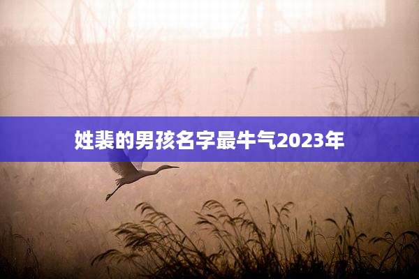 姓裴的男孩名字最牛气2023年