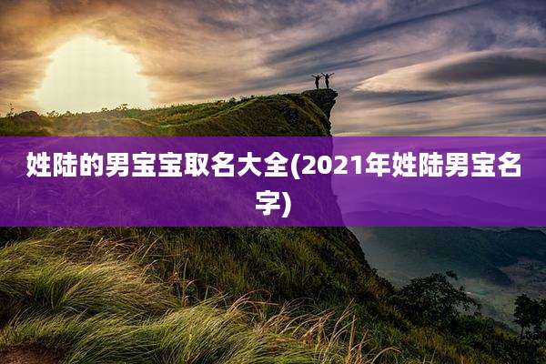 姓陆的男宝宝取名大全(2021年姓陆男宝名字)