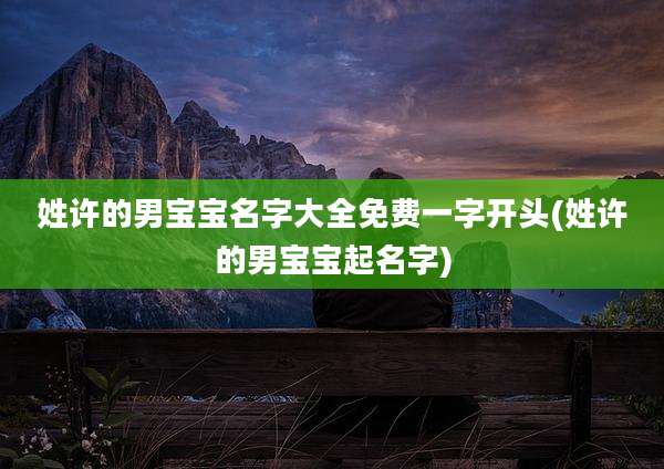 姓许的男宝宝名字大全免费一字开头(姓许的男宝宝起名字)