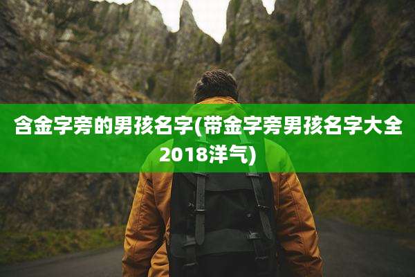 含金字旁的男孩名字(带金字旁男孩名字大全2018洋气)