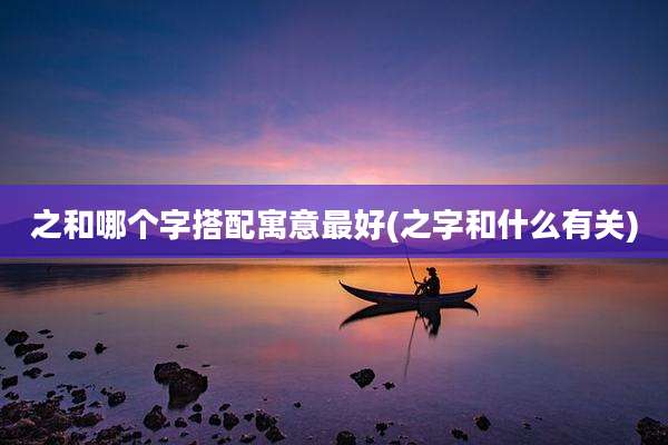 之和哪个字搭配寓意最好(之字和什么有关)