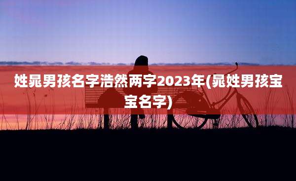 姓晁男孩名字浩然两字2023年(晁姓男孩宝宝名字)