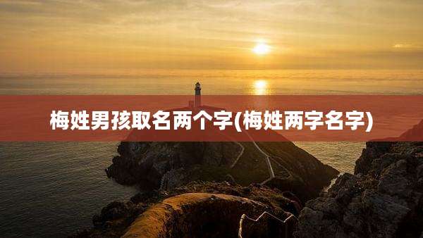梅姓男孩取名两个字(梅姓两字名字)