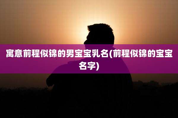 寓意前程似锦的男宝宝乳名(前程似锦的宝宝名字)