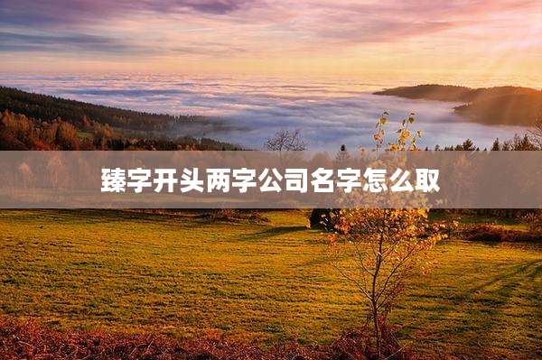 臻字开头两字公司名字怎么取