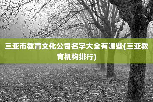 三亚市教育文化公司名字大全有哪些(三亚教育机构排行)