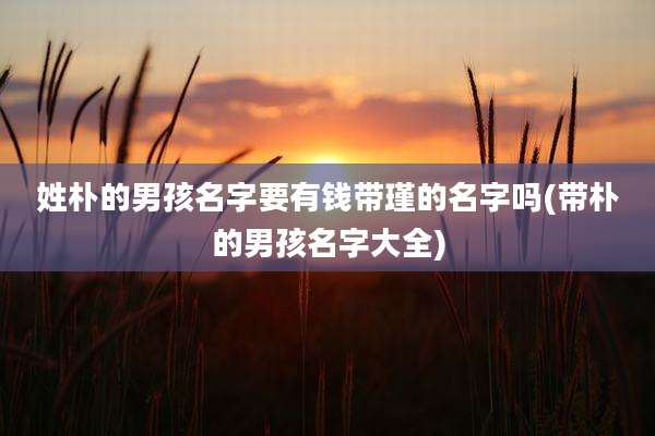 姓朴的男孩名字要有钱带瑾的名字吗(带朴的男孩名字大全)
