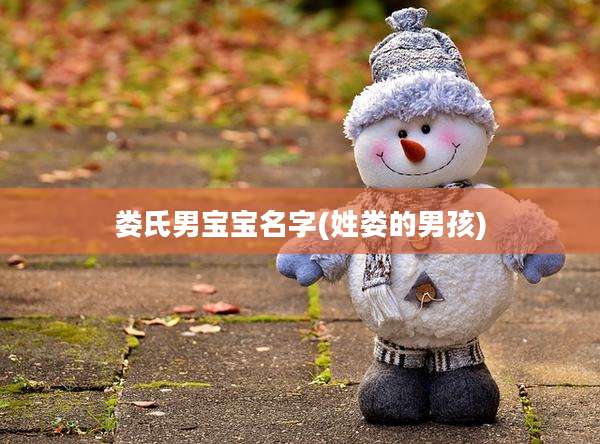 娄氏男宝宝名字(姓娄的男孩)