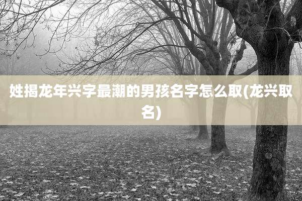 姓揭龙年兴字最潮的男孩名字怎么取(龙兴取名)