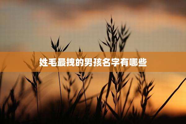 姓毛最拽的男孩名字有哪些