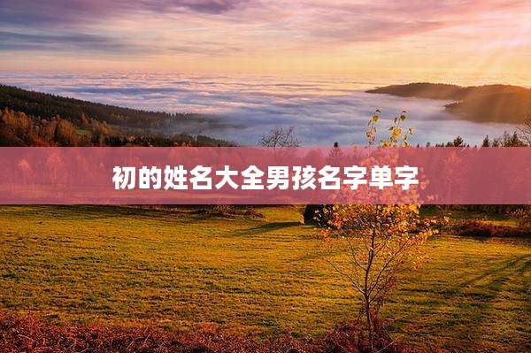 初的姓名大全男孩名字单字
