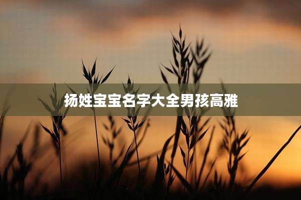 扬姓宝宝名字大全男孩高雅