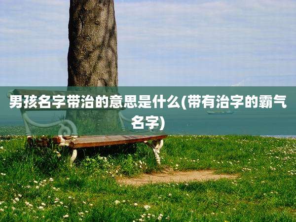男孩名字带治的意思是什么(带有治字的霸气名字)