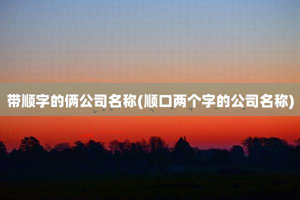带顺字的俩公司名称(顺口两个字的公司名称)
