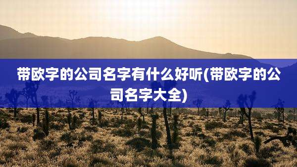 带欧字的公司名字有什么好听(带欧字的公司名字大全)
