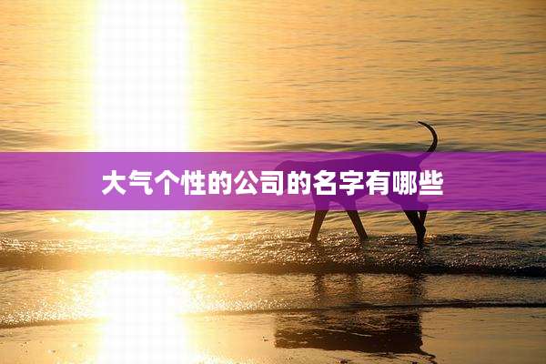 大气个性的公司的名字有哪些