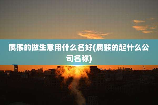 属猴的做生意用什么名好(属猴的起什么公司名称)