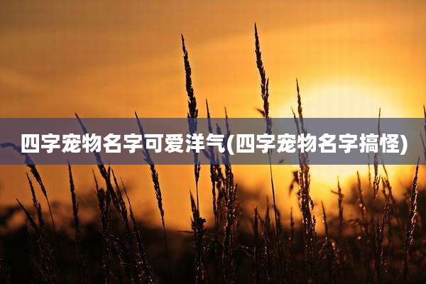 四字宠物名字可爱洋气(四字宠物名字搞怪)