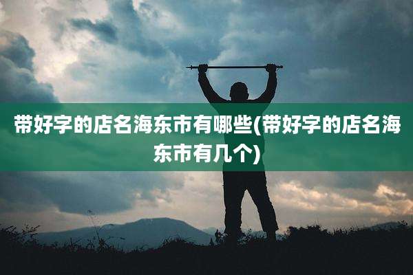带好字的店名海东市有哪些(带好字的店名海东市有几个)