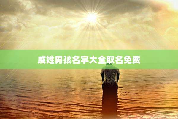 戚姓男孩名字大全取名免费