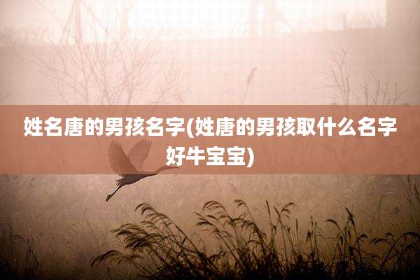 姓名唐的男孩名字(姓唐的男孩取什么名字好牛宝宝)