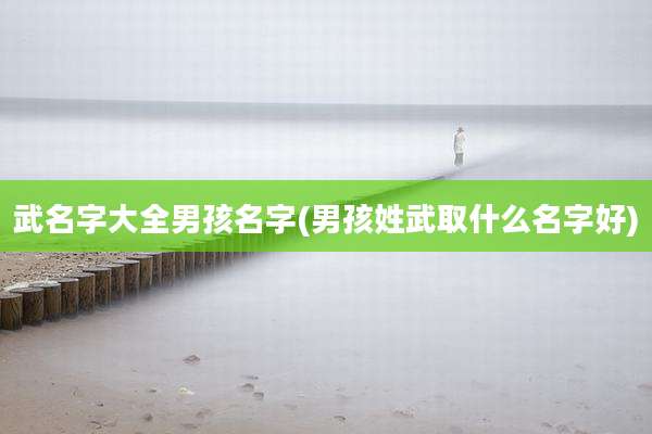 武名字大全男孩名字(男孩姓武取什么名字好)