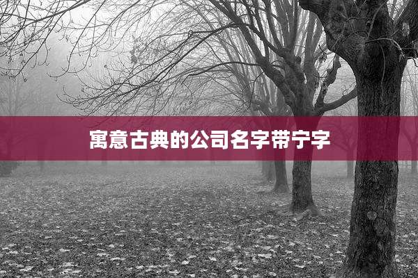 寓意古典的公司名字带宁字