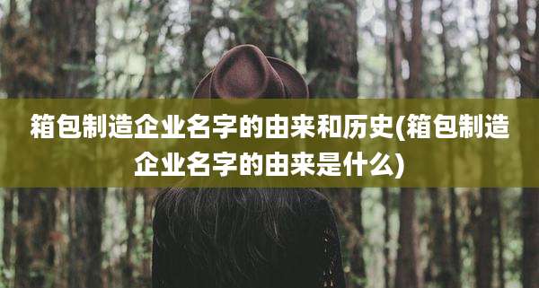 箱包制造企业名字的由来和历史(箱包制造企业名字的由来是什么)