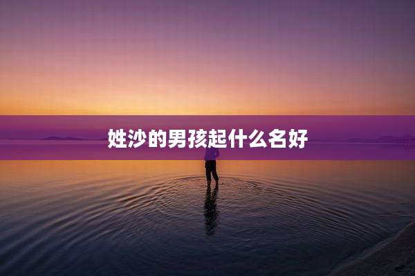 姓沙的男孩起什么名好