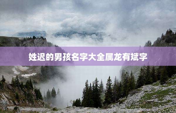 姓迟的男孩名字大全属龙有斌字