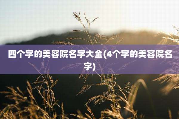 四个字的美容院名字大全(4个字的美容院名字)