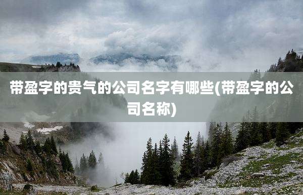 带盈字的贵气的公司名字有哪些(带盈字的公司名称)