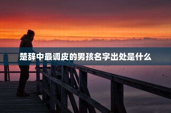楚辞中最调皮的男孩名字出处是什么